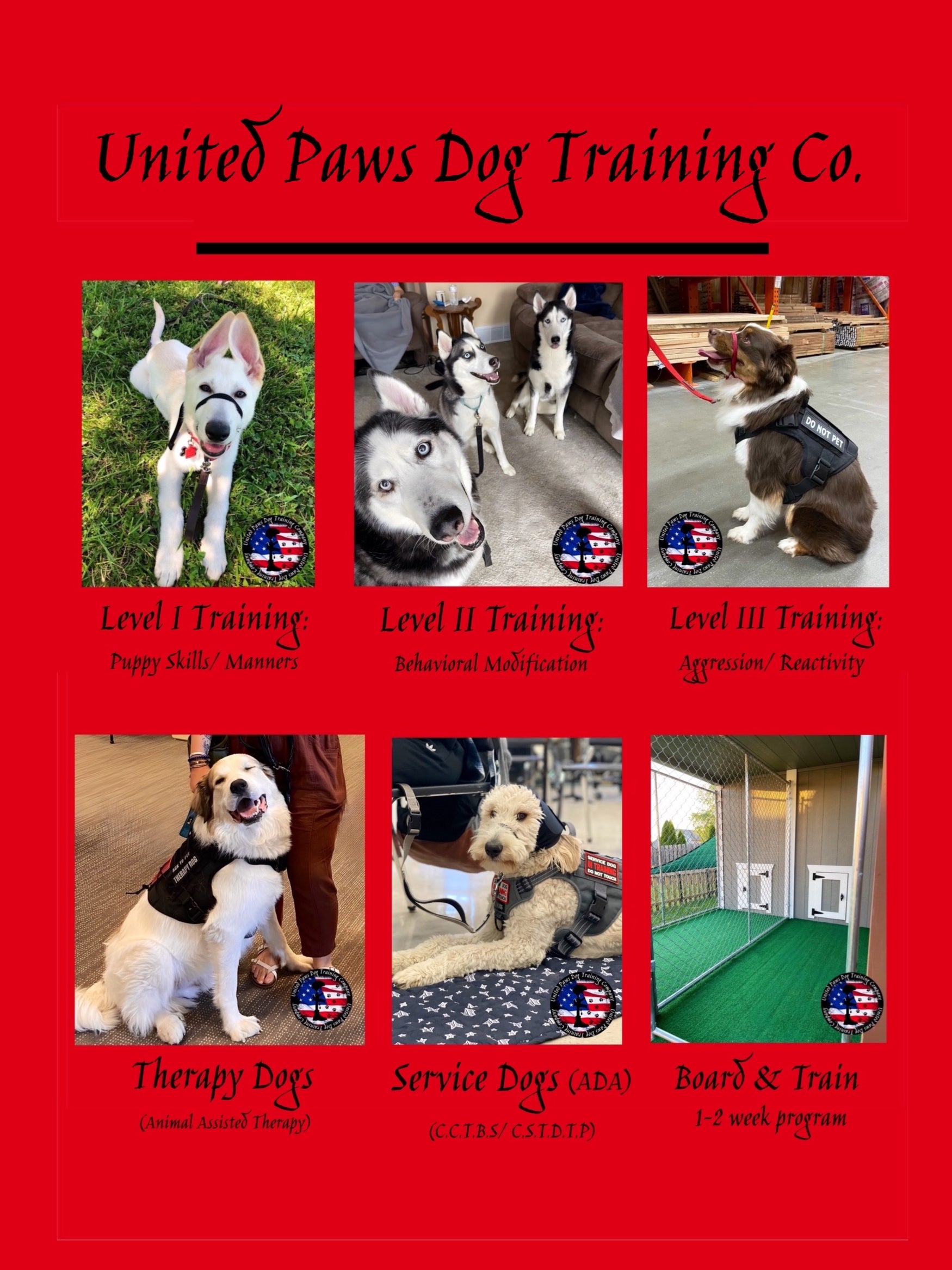 2 week dog hot sale training near me